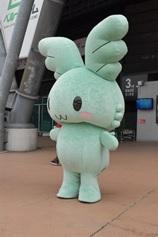 ブルーシリーズ4.jpg