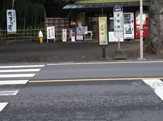 ①平林寺バス停（ひばりヶ丘駅方向）横断歩道移設前.JPG
